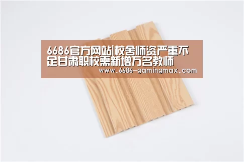 6686官方网站|校舍师资严重不足甘肃职校需新增万名教师(图3) 6686体育赛事直播