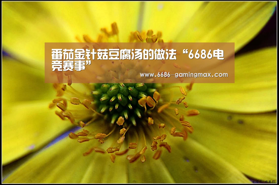 番茄金针菇豆腐汤的做法“6686电竞赛事”(图1) 6686体育赛事直播